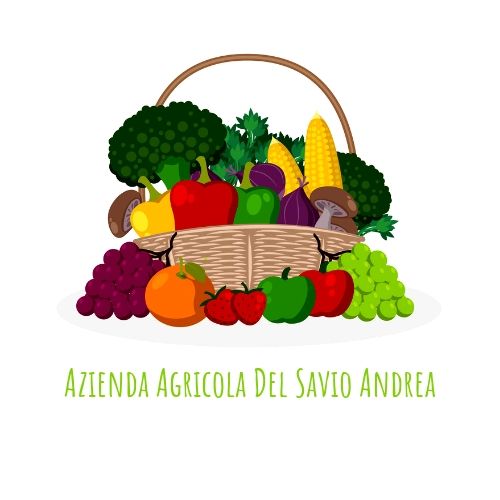 Azienda Agricola Del Savio Andrea