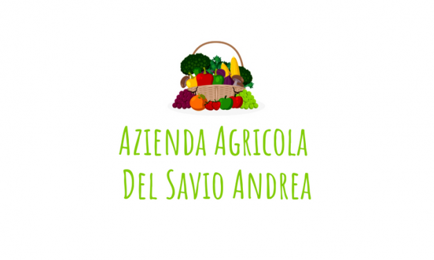 Agricola Del Savio Andrea Farm